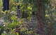 Di's Cabin In Dwellingup - thumb 8