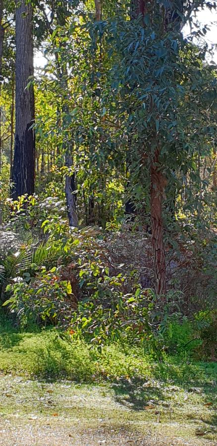 Di's Cabin In Dwellingup - Accommodation Georgetown 8