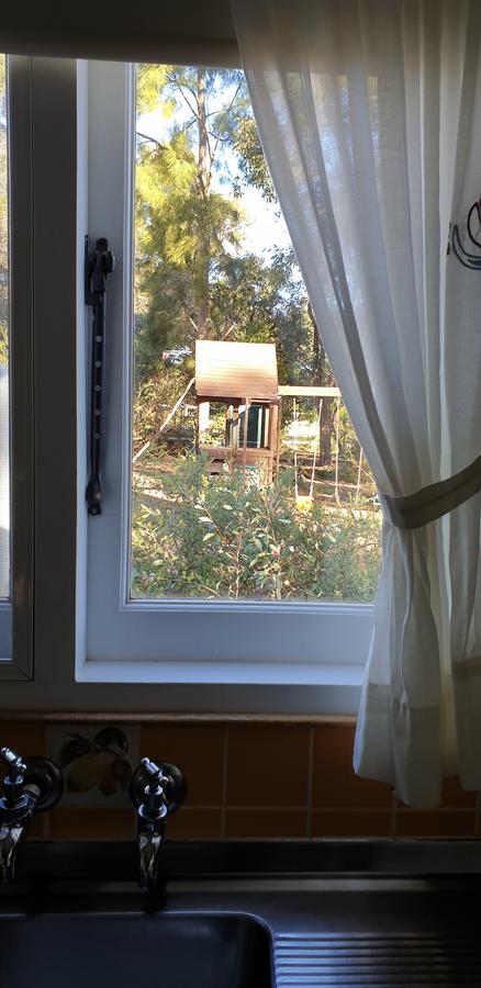 Di's Cabin In Dwellingup - Accommodation Georgetown 15