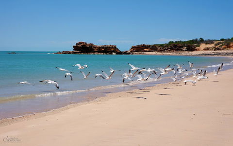 Apartments At Blue Seas Resort - Accommodation Georgetown 25