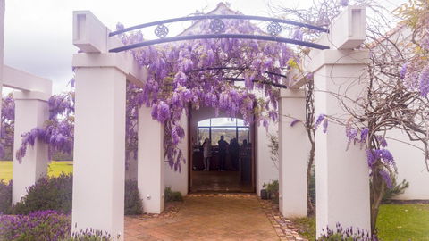 Indoyo Retreat - Accommodation Georgetown 36