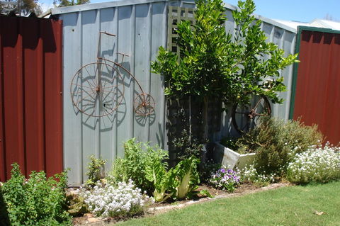 Bluebird Cottage - Accommodation Georgetown 26