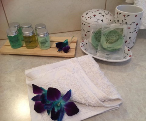 Nivalis Bed And Breakfast - Accommodation Georgetown 28