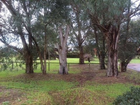 Nivalis Bed And Breakfast - Accommodation Georgetown 29