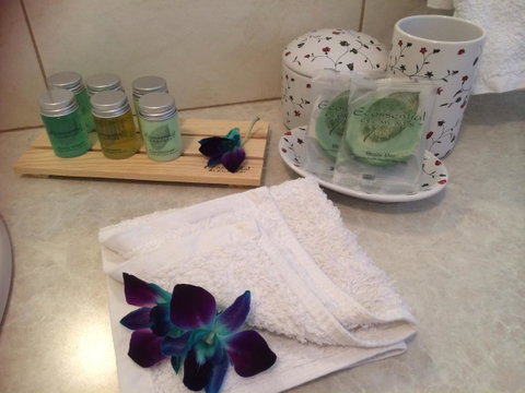 Nivalis Bed And Breakfast - Accommodation Georgetown 15