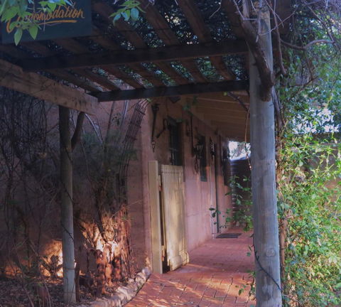Bentwood Olive Grove Accommodation - Accommodation Georgetown 11