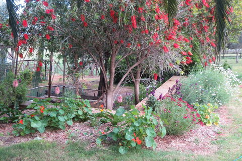 Bentwood Olive Grove Accommodation - Accommodation Georgetown 21