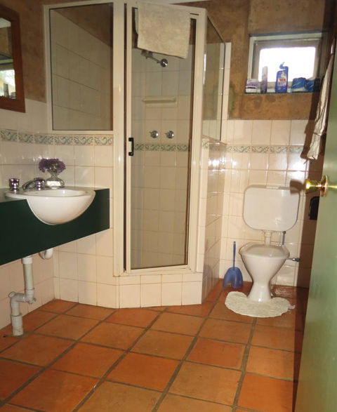 Bentwood Olive Grove Accommodation - Accommodation Georgetown 17