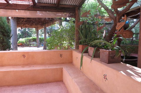Bentwood Olive Grove Accommodation - Accommodation Georgetown 10