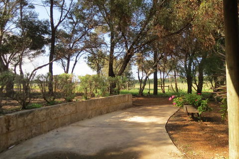 Bentwood Olive Grove Accommodation - Accommodation Georgetown 2