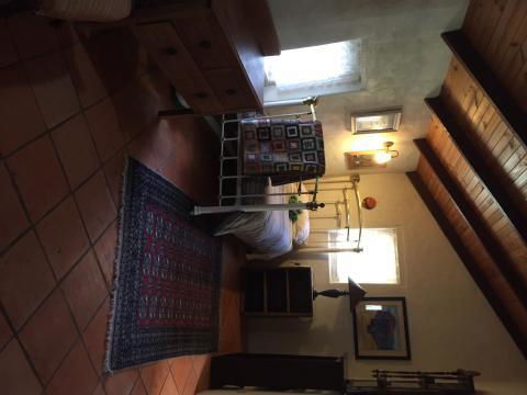 Bentwood Olive Grove Accommodation - Accommodation Georgetown 27
