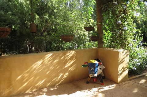 Bentwood Olive Grove Accommodation - Accommodation Georgetown 9