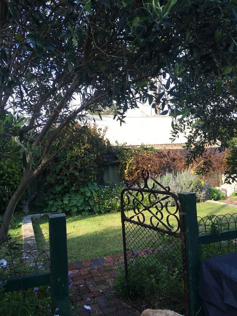 RoseMoore Bed & Breakfast - Accommodation Georgetown 1