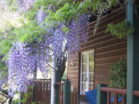 RoseMoore Bed & Breakfast - Accommodation Georgetown 11