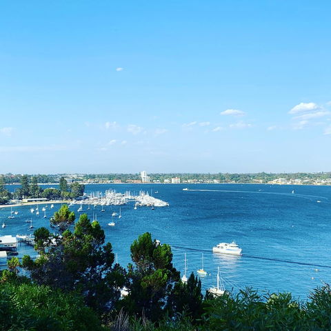 SEA BREEZE â€“ Between Cottesloe Beach & Swan River - Accommodation Georgetown 23