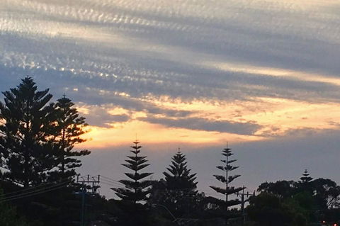 SEA BREEZE â€“ Between Cottesloe Beach & Swan River - Accommodation Georgetown 16