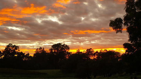Windfall Estate Vineyard Cottage - Accommodation Georgetown 32
