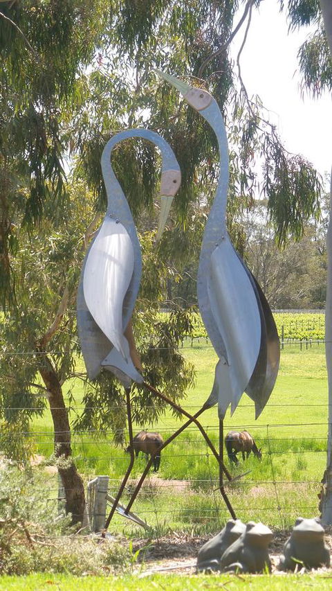 Windfall Estate Vineyard Cottage - Accommodation Georgetown 31