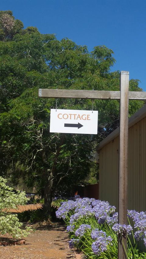 Windfall Estate Vineyard Cottage - Accommodation Georgetown 14