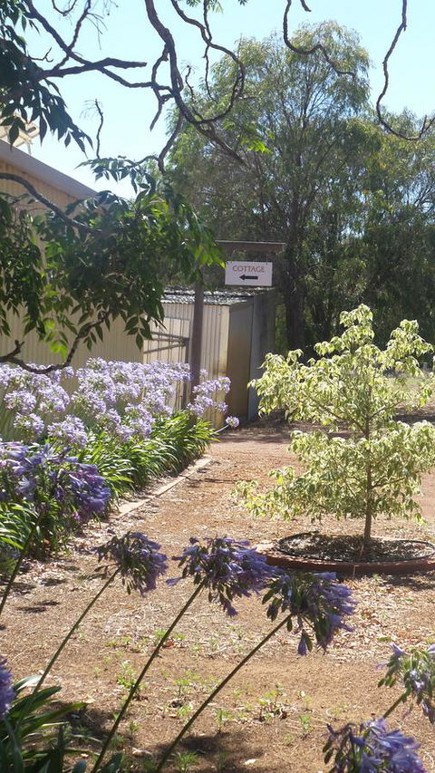 Windfall Estate Vineyard Cottage - Accommodation Georgetown 13