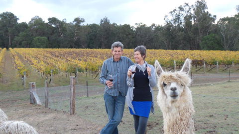 Windfall Estate Vineyard Cottage - Accommodation Georgetown 11