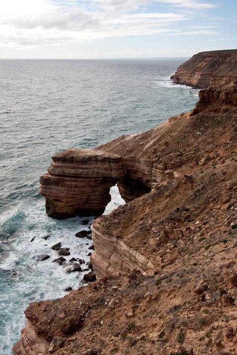 Kalbarri Palm Resort - Accommodation Georgetown 32