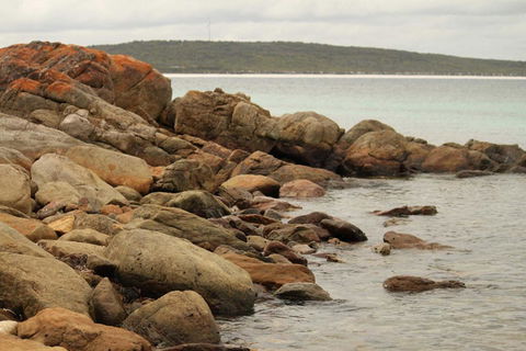 Bremer Bay B&B - Accommodation Georgetown 34