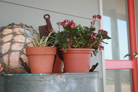 Bremer Bay B&B - Accommodation Georgetown 28