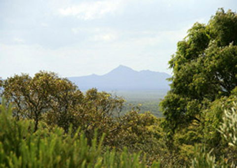 Bremer Bay B&B - Accommodation Georgetown 32