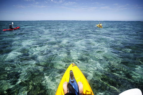 Sal Salis Ningaloo Reef - Accommodation Georgetown 15