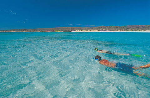 Sal Salis Ningaloo Reef - Accommodation Georgetown 9