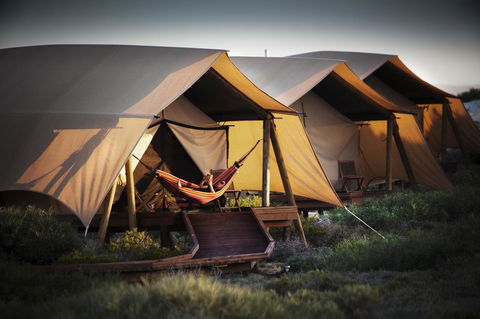 Sal Salis Ningaloo Reef - Accommodation Georgetown 23