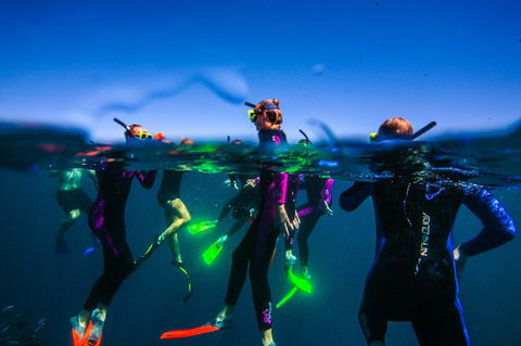Sal Salis Ningaloo Reef - Accommodation Georgetown 26
