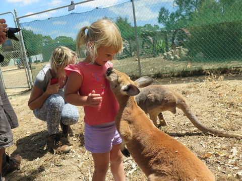 Jurien Beachfront Holiday Units - Accommodation Georgetown 36