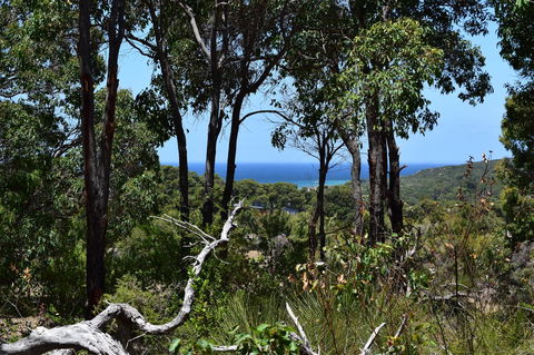 Eagle Bay House - Accommodation Georgetown 38