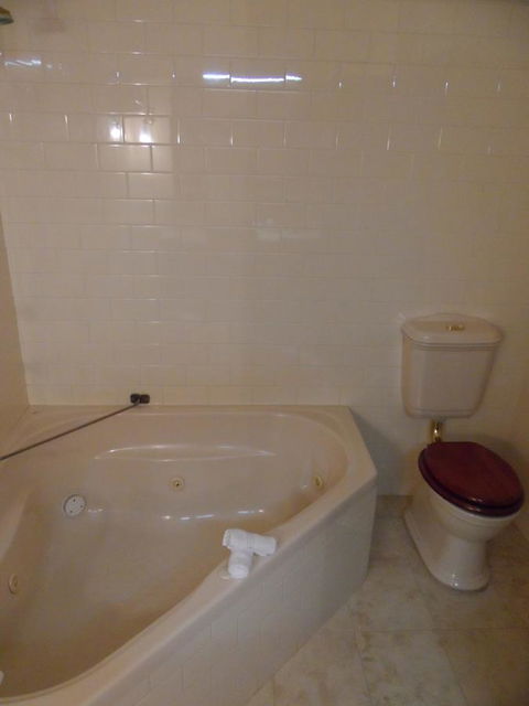 Clifton Motel & Grittleton Lodge - Accommodation Georgetown 32