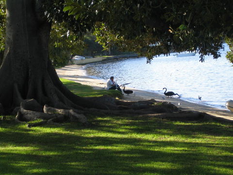 Garden Studio In Cottesloe - Accommodation Georgetown 11