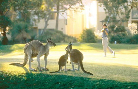 Ocean Reef Vista - Accommodation Georgetown 22