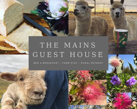 The Mains Guest House 2 Bedroom Farm Stay - Accommodation Georgetown 0