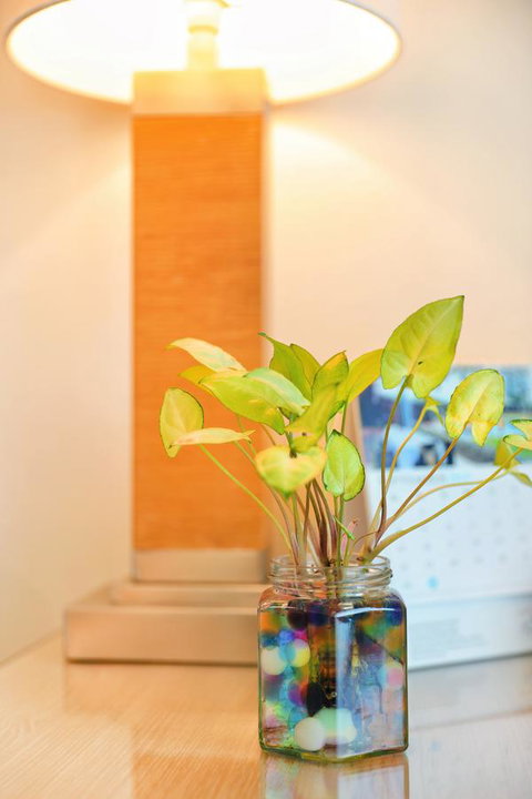 Bunbury Hotel Koombana Bay - Accommodation Georgetown 7