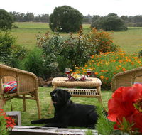Silversprings cottages - Accommodation Georgetown