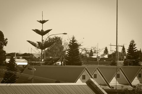 Annie's Victorian Terrace Accommodation Fremantle - Accommodation Georgetown 2