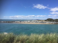 Book Bridport Accommodation Vacations Accommodation Georgetown Accommodation Georgetown