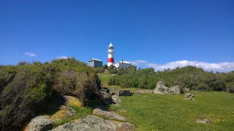 BIG4 Low Head Tourist Park - Accommodation Georgetown 6