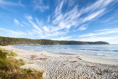 Eaglehawk Pavilions - Accommodation Georgetown 33