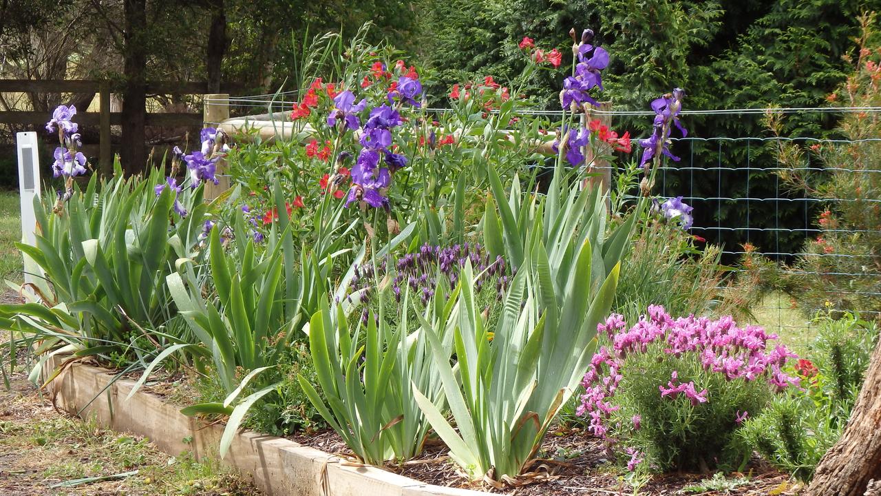  Accommodation Georgetown