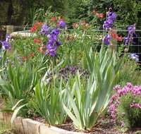 Karoola Cottage Self Contained - Accommodation Georgetown