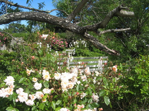 The Grove Cottages - Accommodation Georgetown 11