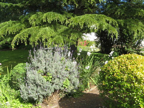 The Grove Cottages - Accommodation Georgetown 12