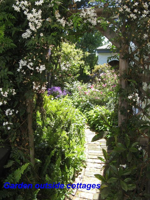 The Grove Cottages - Accommodation Georgetown 3